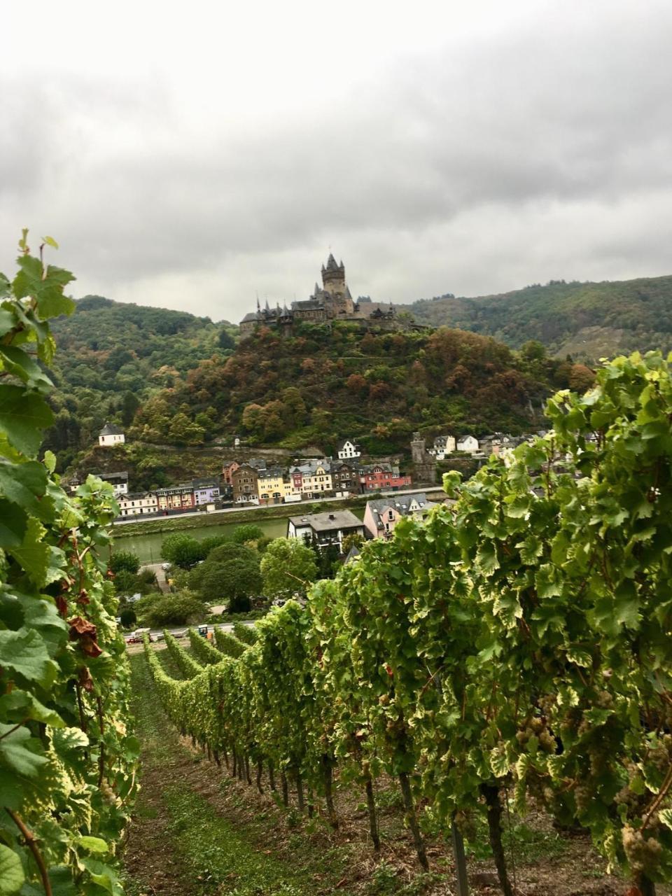 Mosel Appartement